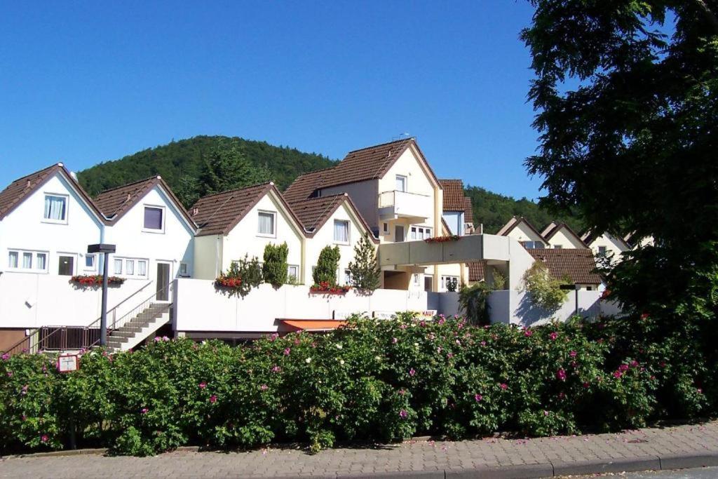 Seeblick Geniessen In Schoener Fewo Am Edersee Scheid  Extérieur photo
